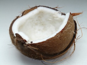 coconut_coconuts_exotic